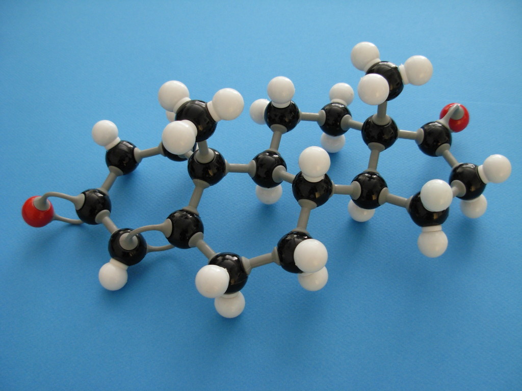 ANDRO androst-4-ene-3,17-dione molecule (from right)