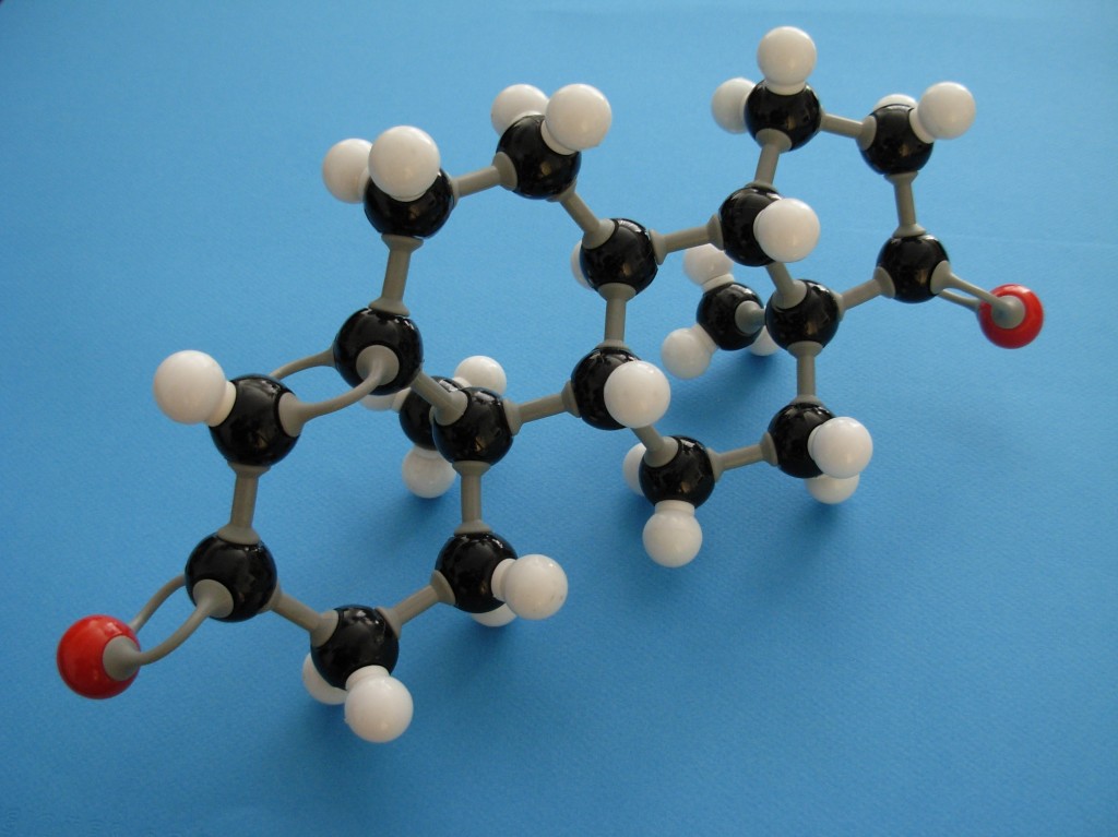 ANDRO andros-4-ene-3,17-dione molecule (underside)